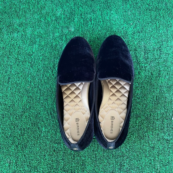 New, Birdies Starling in Black Velvet! - Picture 7 of 9